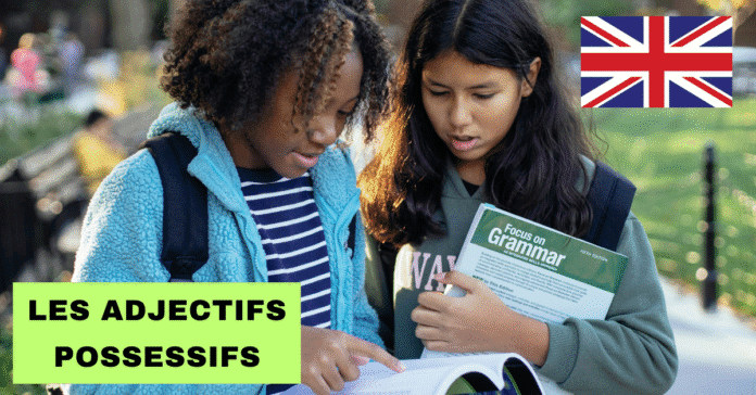 Les adjectifs possessifs en anglais