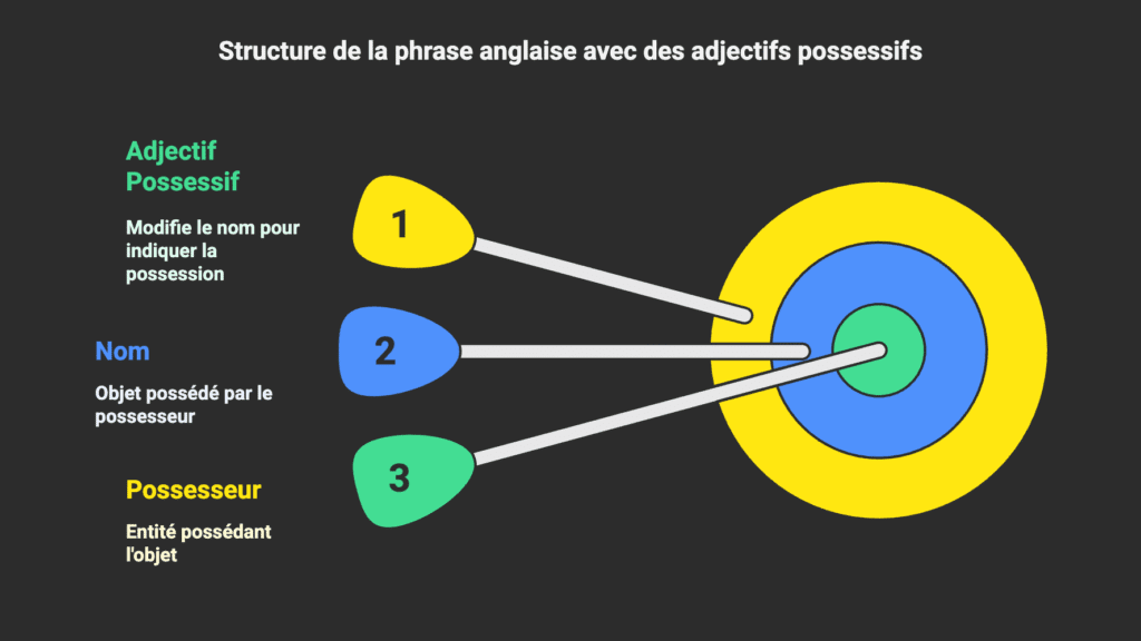 Adjectifs possessifs en anglais